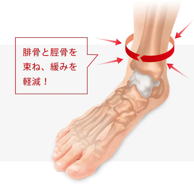 【むくみ解消セット】距骨バンド+距骨フィットレギュラー