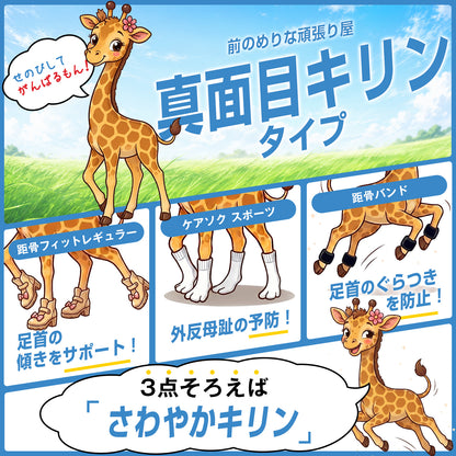 【TBTI診断（IFS）】真面目キリンセット