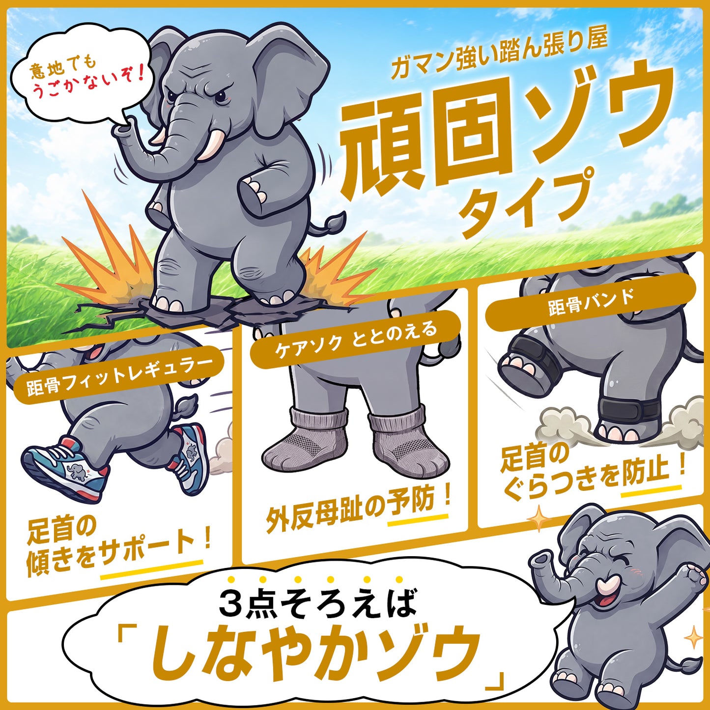 【TBTI診断（OBS）】頑固ゾウセット