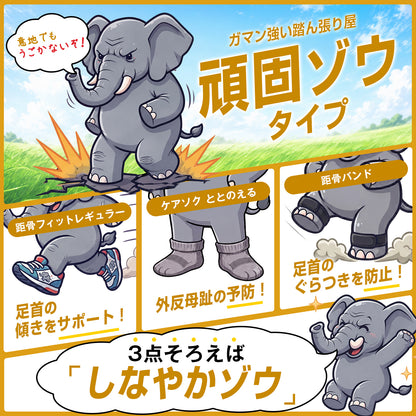 【TBTI診断（OBS）】頑固ゾウセット