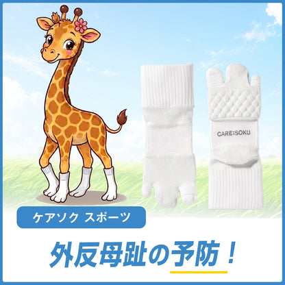 【TBTI診断（IFS）】真面目キリンセット