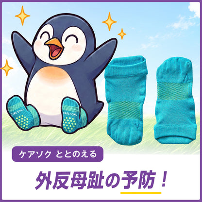 【TBTI診断（IBR）】ガチペンギンセット