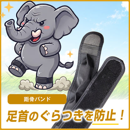 【TBTI診断（OBS）】頑固ゾウセット
