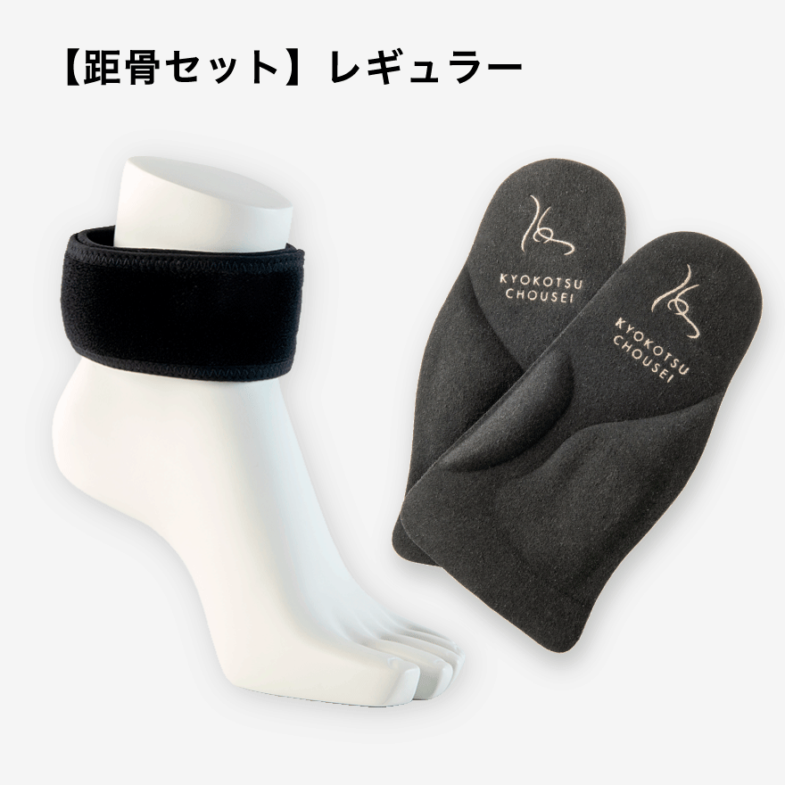 【距骨セット】レギュラー